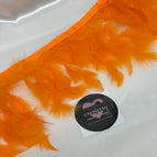 Arancio