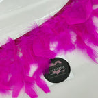 Fucsia
